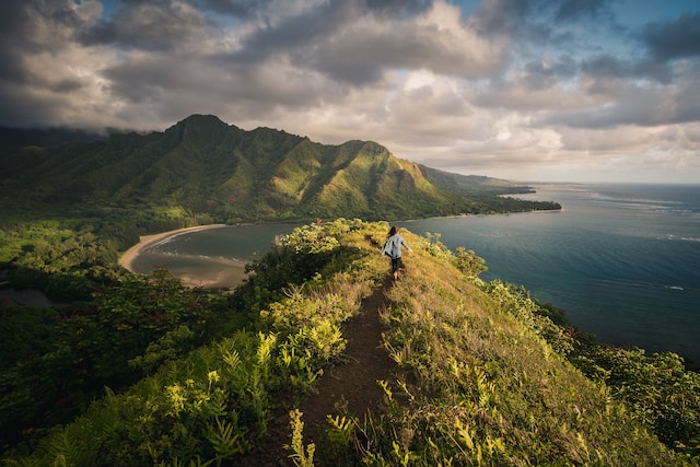 someone on a mountain peak overlooking the ocean